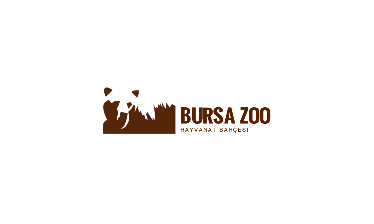 bursa zoo